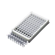 এলিসা অ্যাসে প্লেট কারখানা