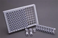 এলিসা ওয়েল প্লেট